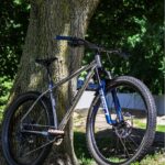 Titanium Salsa Timberjack