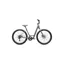 Specialized Roll 2.0 Low Entry Road Bike In Gloss Cool Gray/Satin Smoke Reflective