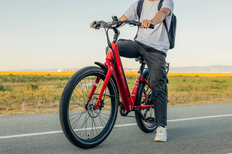 Denago City 3 Step-thru eBike L/XL - Red-8